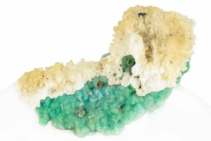 Forest Green Conichalcite on Chrysocolla - Namibia #295888